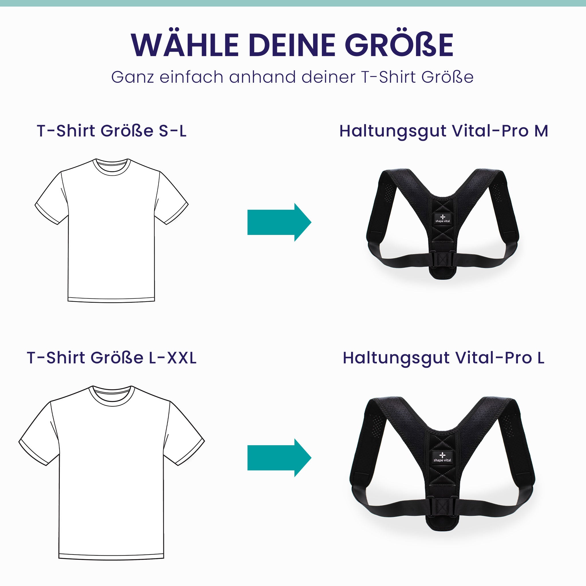 Haltungsgurt Vital-Pro